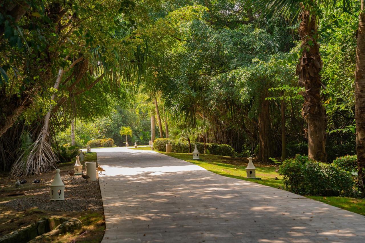 Caribe Deluxe Princess Πούντα Κάνα Εξωτερικό φωτογραφία San Anton Park